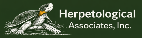 Herpetological Associates Inc.